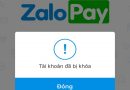 Những điều cần lưu ý để tránh bị khóa tài khoản Zalo